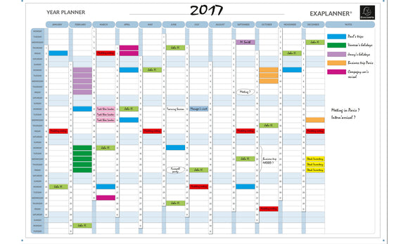 Exaplanner Yearly Magnetic Planner 90x59cm