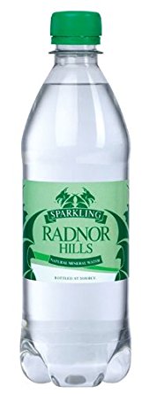 Radnor Hills Sparkling Water 500ml PK24