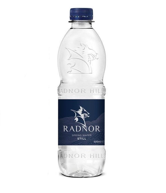 Radnor Hills Bottled Water 500ml (Pack 24)