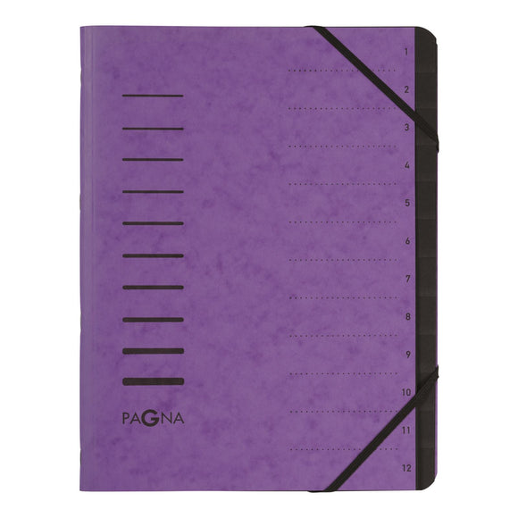 Pagna Pro 12 Part File A4 Purple  PK 5