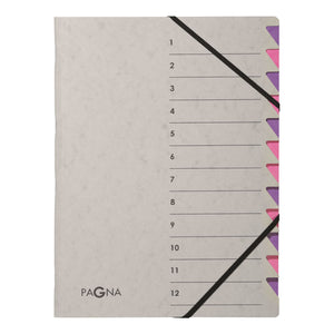 Pagna Pro Deluxe 12 Part File Grey/Pink  PK 5