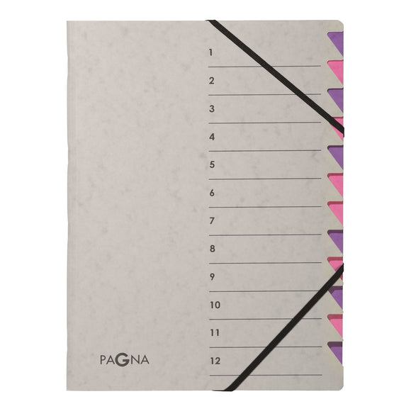 Pagna Pro Deluxe 12 Part File Grey/Pink  PK 5