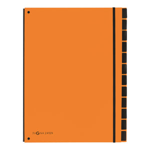 Pagna Master Organiser A4 Orange  PK 10