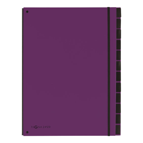 Pagna Master Organiser A4 Purple  PK 10